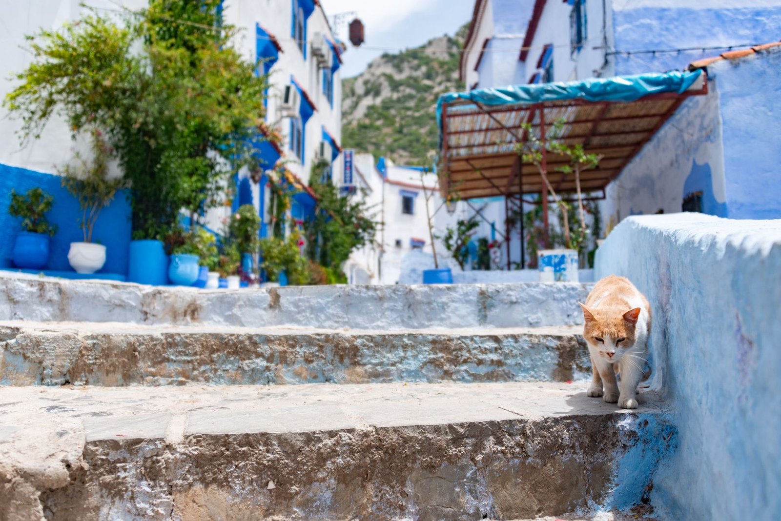 chefchaouen 1