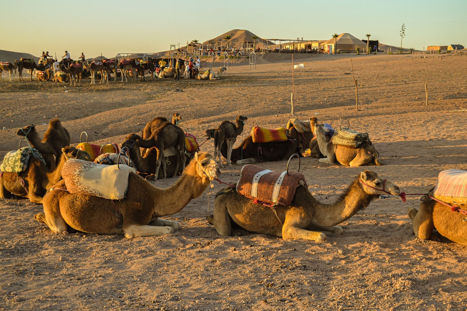 morocco cost 4