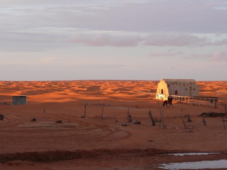 sahara desert tours