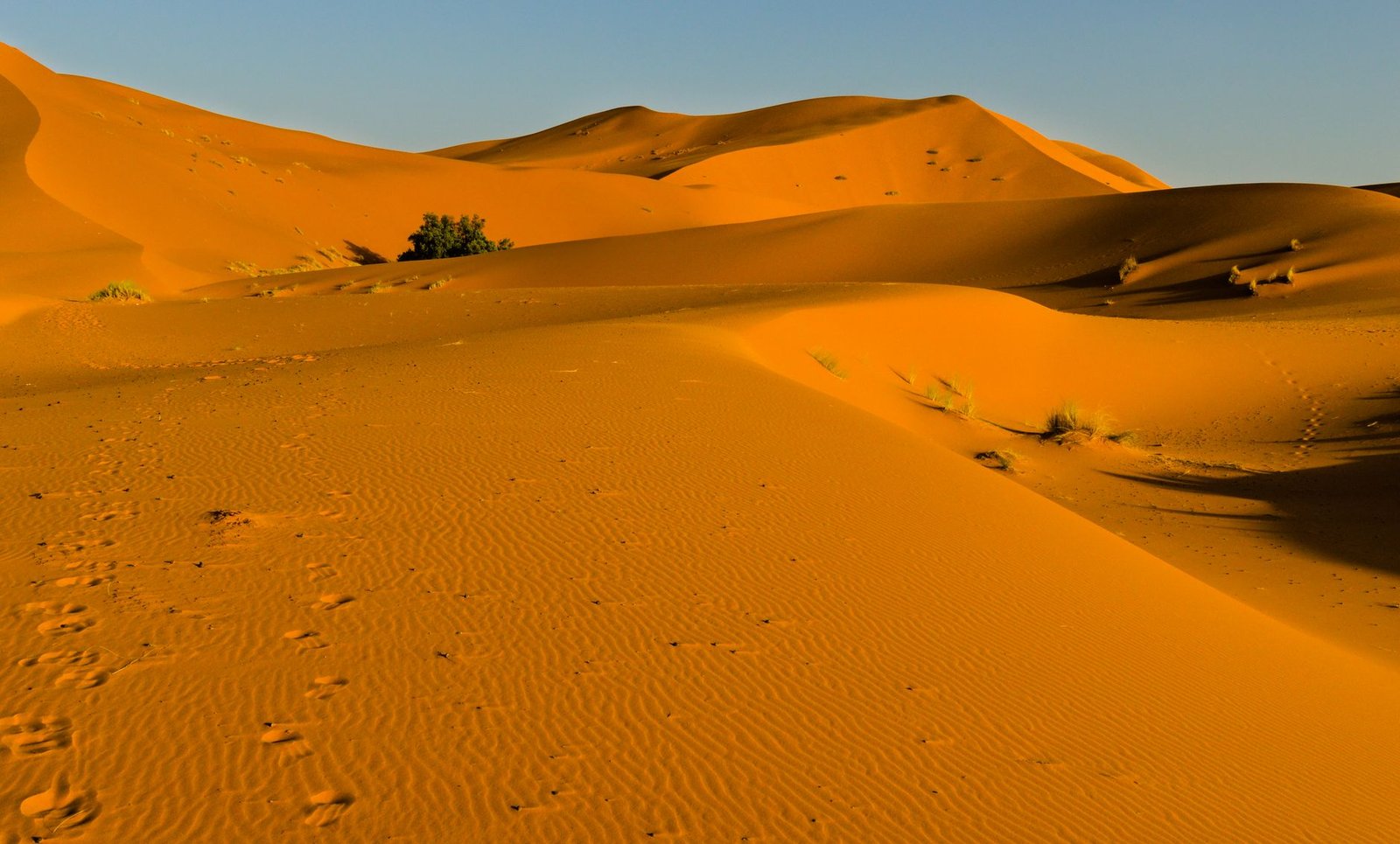 trips from marrakech 3