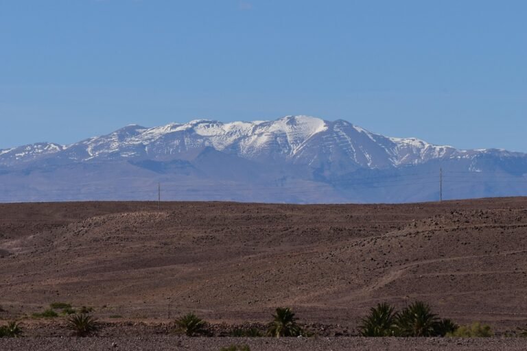 trips from marrakech