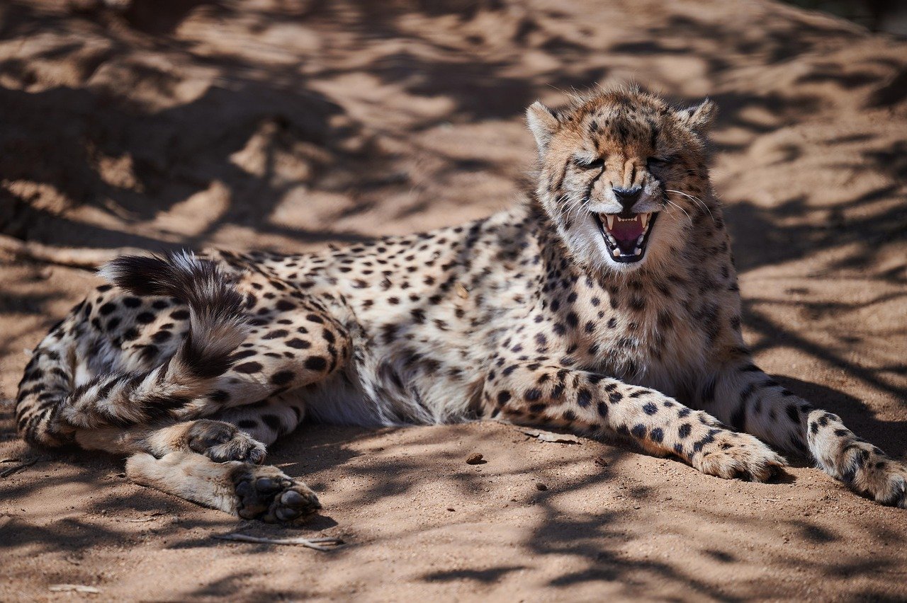 best time to visit south africa 1