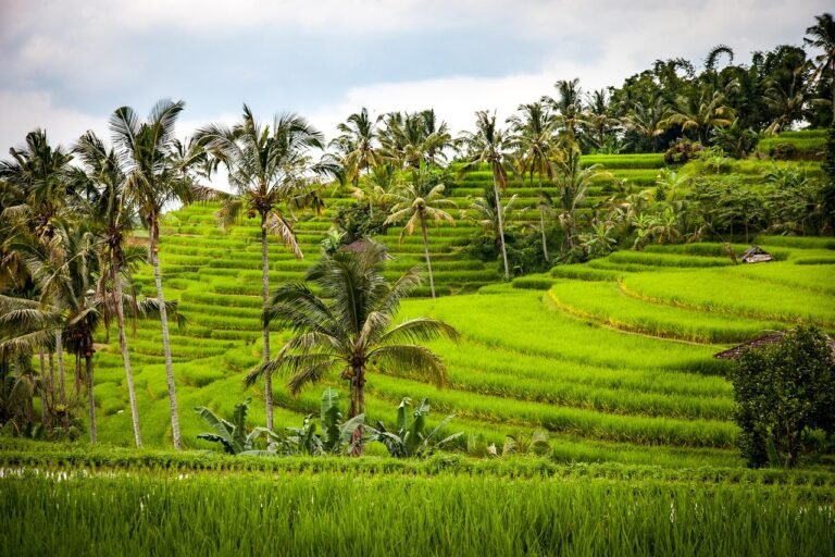 Things to Do in Bali: 15 Ultimate Experiences You'll Love