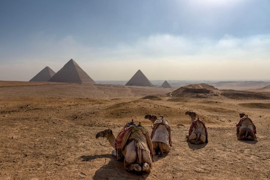 things to do in cairo egypt