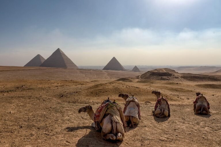 things to do in cairo egypt