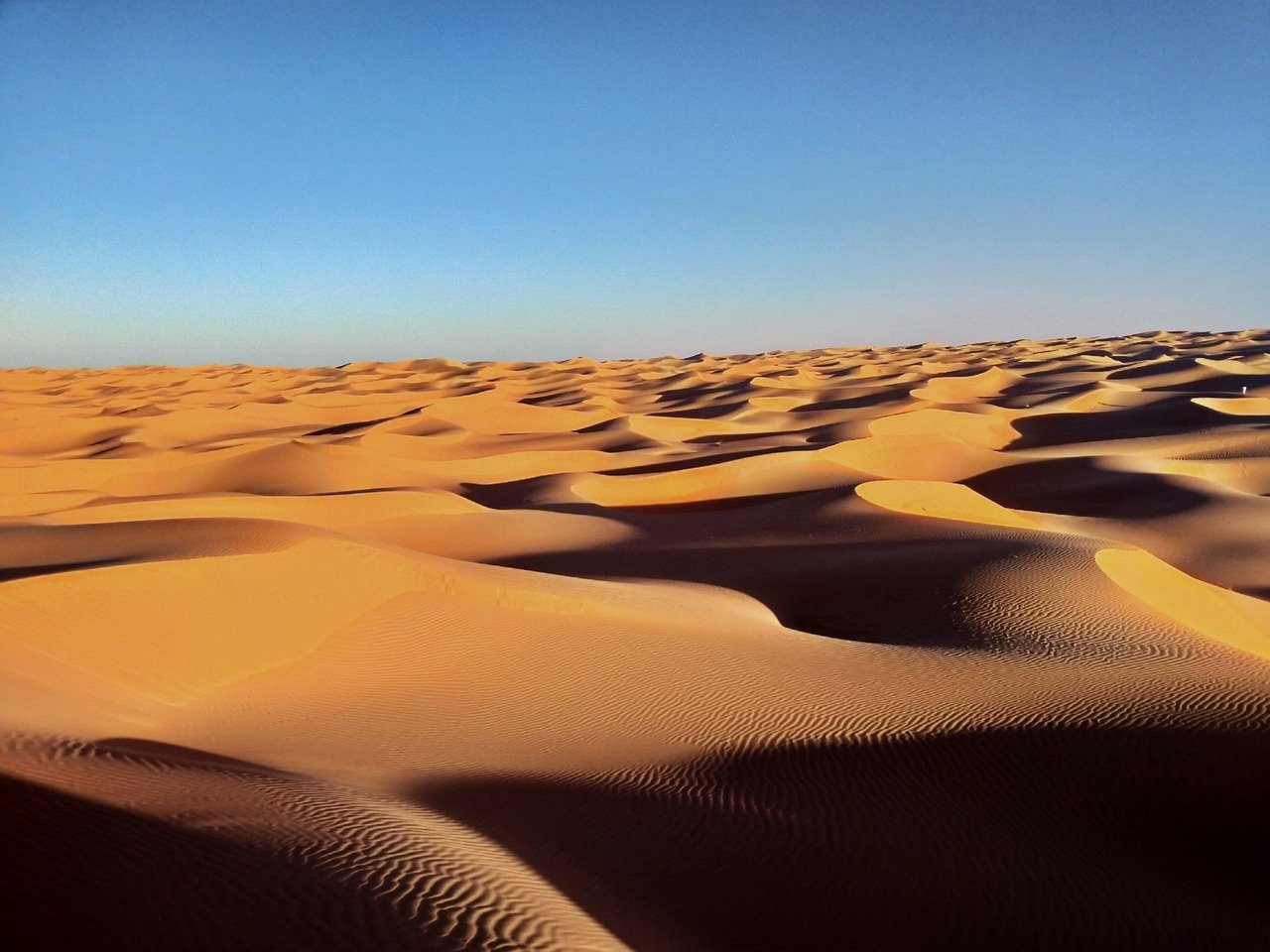 Desert safari dunes