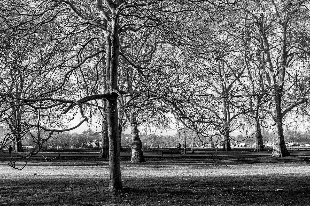things to do in london 4