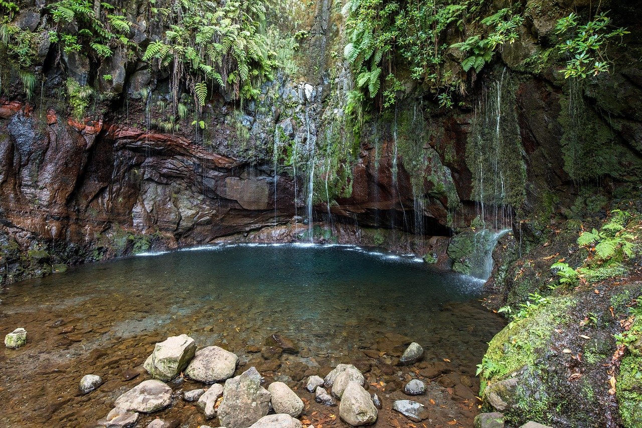 Levada trail forest